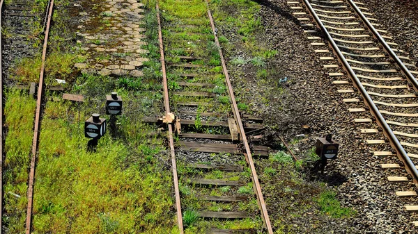 Vasúti Infrastruktúra Egy Nyári Napon Nyomtáv Sín Huzal Szemafora — Stock Fotó