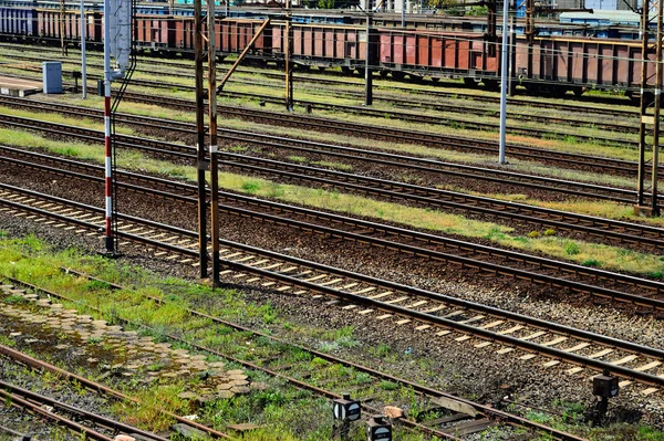 Vasúti Infrastruktúra Egy Nyári Napon Nyomtáv Sín Huzal Szemafora — Stock Fotó