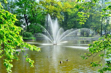 Yeşil ağaçlardan oluşan bir arka planda gölün üzerinde akan bir çeşme..