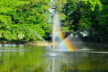 Yeşil ağaçlardan oluşan bir arka planda gölün üzerinde akan bir çeşme..