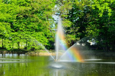 Yeşil ağaçlardan oluşan bir arka planda gölün üzerinde akan bir çeşme..