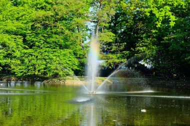 Yeşil ağaçlardan oluşan bir arka planda gölün üzerinde akan bir çeşme..