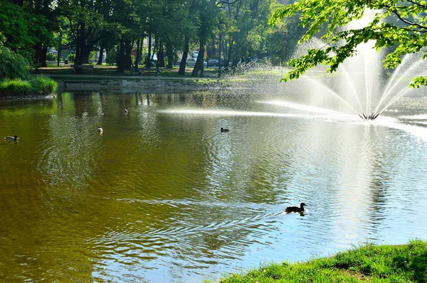 Fountain Gushing Water Lake Background Green Trees — Stock Photo, Image