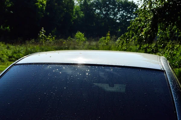 Gotas Água Pára Brisas Carro Após Chuva Orvalho Manhã — Fotografia de Stock