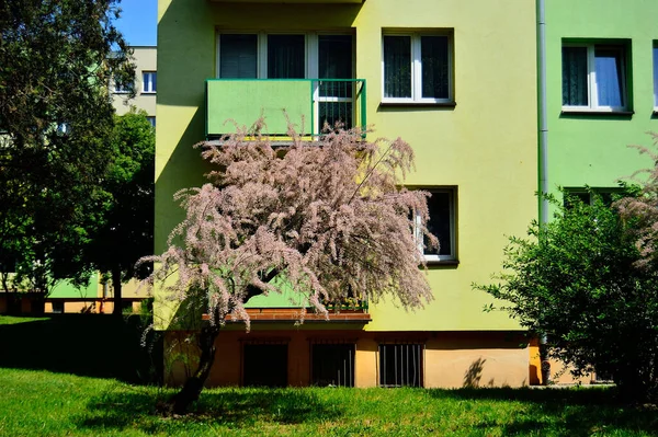 Ein Mehrfamilienhaus Davor Bäume Und Sträucher — Stockfoto