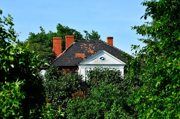 木の間に見える屋根と家の一部 — ストック写真
