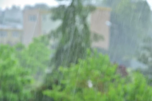 Niewyraźne Krople Deszczu Tle Niewyraźnego Drzewa — Zdjęcie stockowe