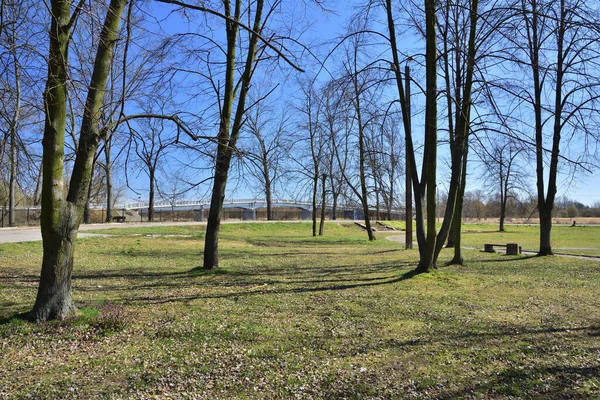 Meadow Lawn Trees Cloudless Day Bridge Background — Stock Photo, Image