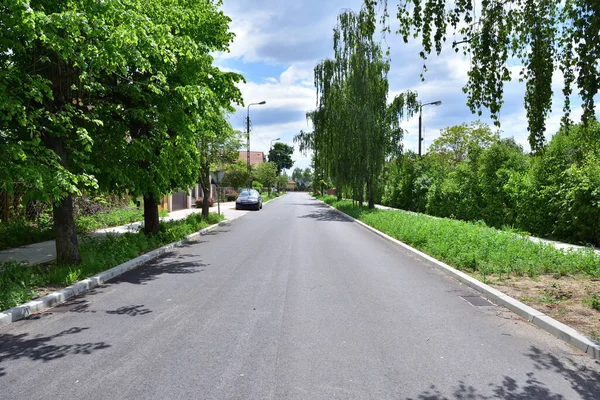 Strada Asfaltata Marciapiede Soleggiato Sud Ombreggiato Alberi Verdi Estate — Foto Stock