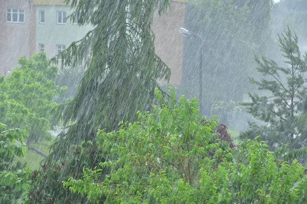 ぼやけている木の背景には ぼやけた雨滴 — ストック写真