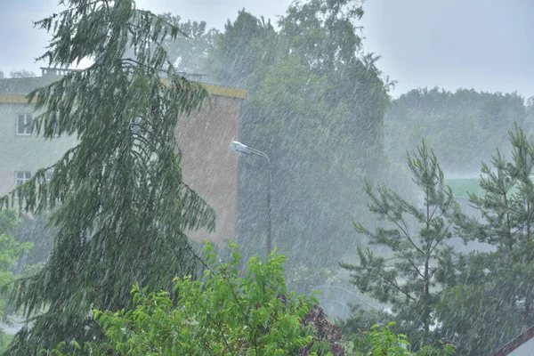 Gotas Chuva Desfocadas Fundo Uma Árvore Desfocada — Fotografia de Stock