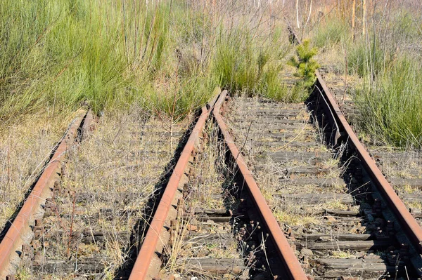 Spoorwegschakelaars Locomotieven Rails Ontwerp Van Stroomvoorziening Voorjaar — Stockfoto