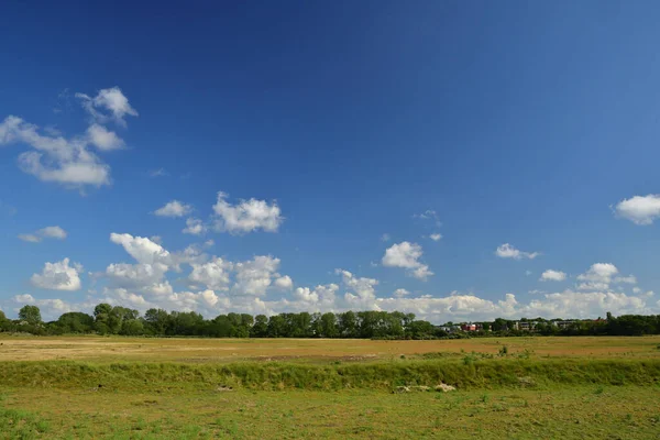Cielo Azul Nubes Blancas Sobre Hierba Verde Pequeño Bosque Horizonte — Foto de Stock