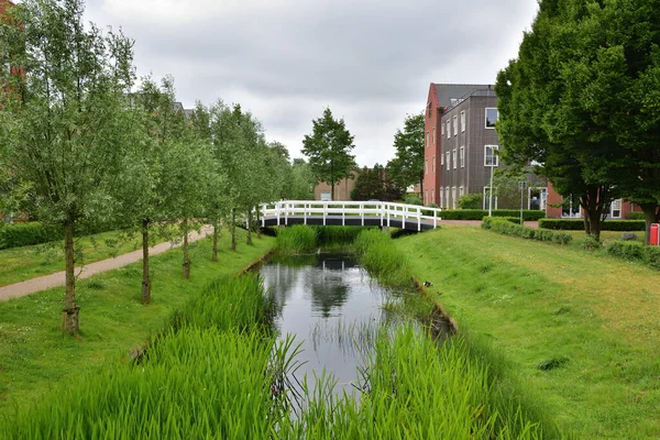 植物の間の運河の上に白い橋 背景の家 — ストック写真