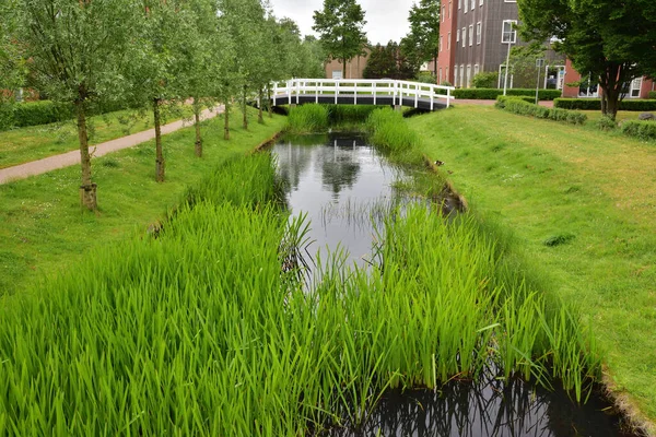 White Bridge Canal Plants Houses Background Summer — Stock Photo, Image