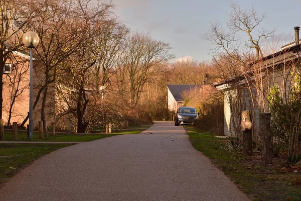 Summer Houses Trees Waiting People Spring Day — Stock Photo, Image