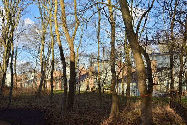 Summer Houses Trees Waiting People Spring Day — Stock Photo, Image