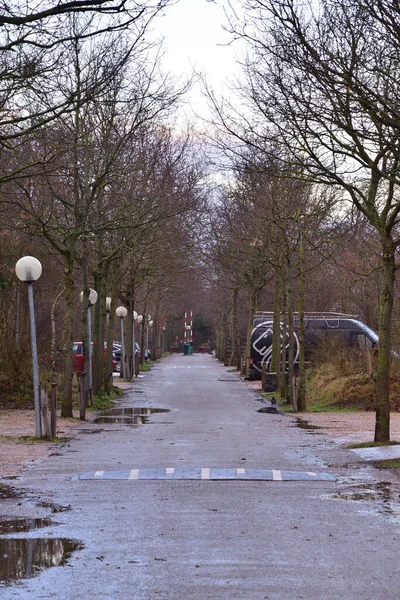 Estrada Entre Casas Árvores Depois Chuva Reflexões Luzes Primavera — Fotografia de Stock