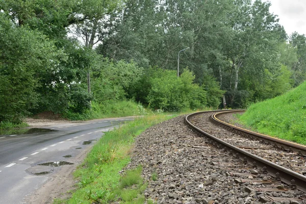 Železniční Tratě Asfaltová Cesta Odbočují Mezi Stromy Léto — Stock fotografie