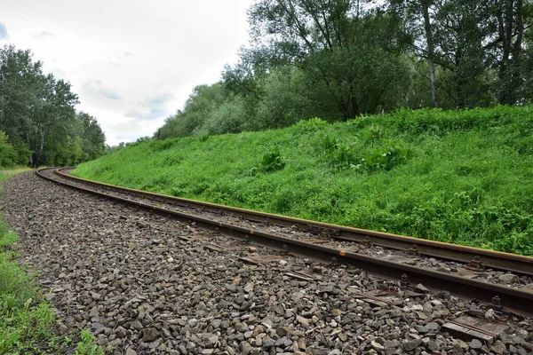 Eski Demiryolu Rayları Çimenli Bir Sel Setinin Arka Planına Karşı — Stok fotoğraf
