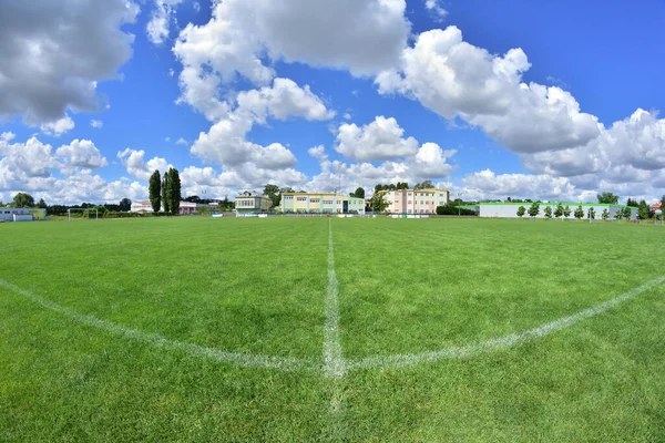 Güneşli bir günde futbol sahasında çimlerin üzerinde bir çizgi. Fisheye lensleri. Yaz.