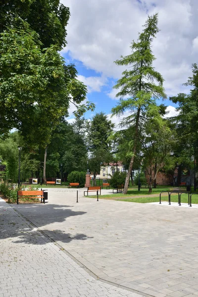 Güneşli Bir Öğle Vakti Söğütlerin Altında Park Bankında Asfalt Yollar — Stok fotoğraf