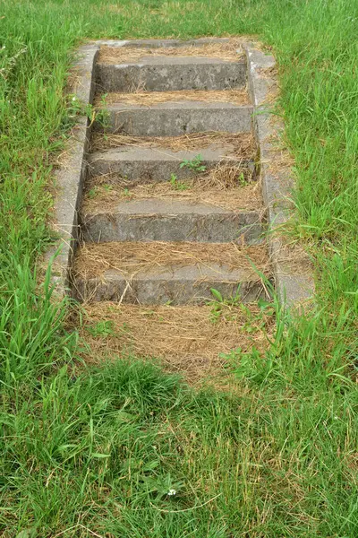 Concrete Stairs Embankment Overgrown Grass Summer — Stock Photo, Image