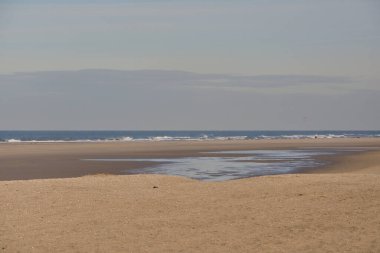 Sudan sonra sahil, alçak gelgitte kaçar. Kum Motorlu Hollanda. Yaz.