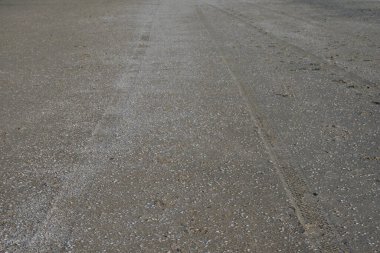 Deniz kıyısındaki kumlu sahilde araba lastiği izleri. Yaz.