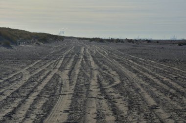 Deniz kıyısındaki kumlu sahilde araba lastiği izleri. Yaz.