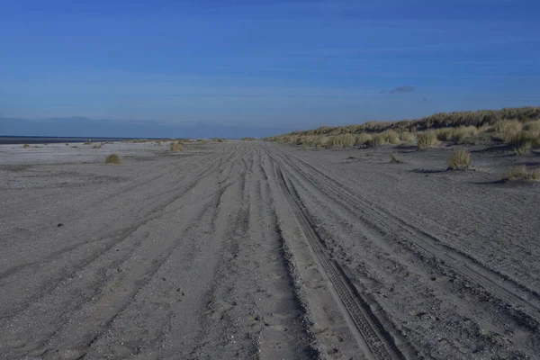 Sporen Van Autobanden Het Zandstrand Aan Zee Zomer — Stockfoto