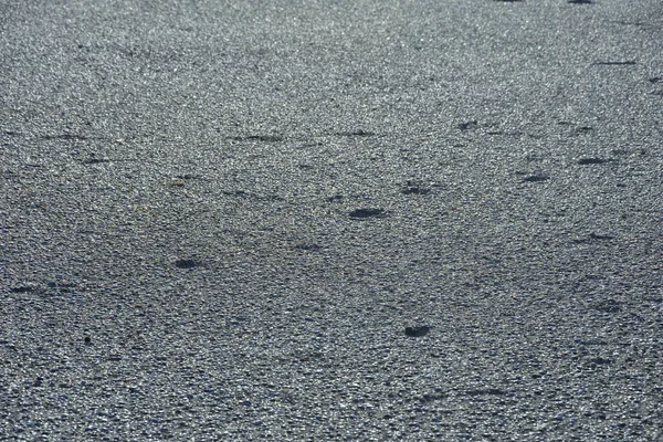 Traces Sea Shore Shells Spring — Stock Photo, Image