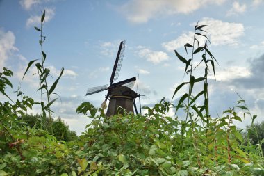 Hollanda 'da bulutlu bir yaz gününde Kinderdijk' te yel değirmenleri. Yaz.