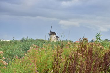 Hollanda 'da bulutlu bir yaz gününde Kinderdijk' te yel değirmenleri. Yaz.