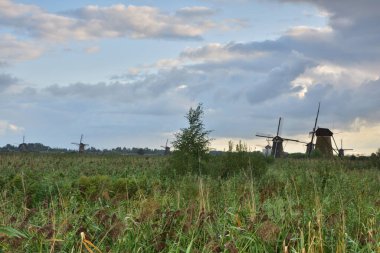 Hollanda 'da bulutlu bir yaz gününde Kinderdijk' te yel değirmenleri. Yaz.