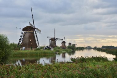 Hollanda 'da bulutlu bir yaz gününde Kinderdijk' te yel değirmenleri. Yaz.