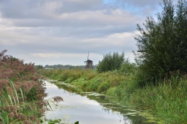 Hollanda 'da bulutlu bir yaz gününde Kinderdijk' te yel değirmenleri. Yaz.