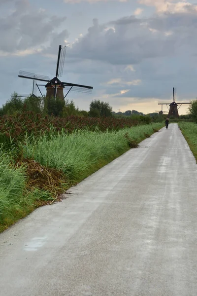 Wiatraki Kinderdijk Pochmurny Letni Dzień Holandii Lato — Zdjęcie stockowe