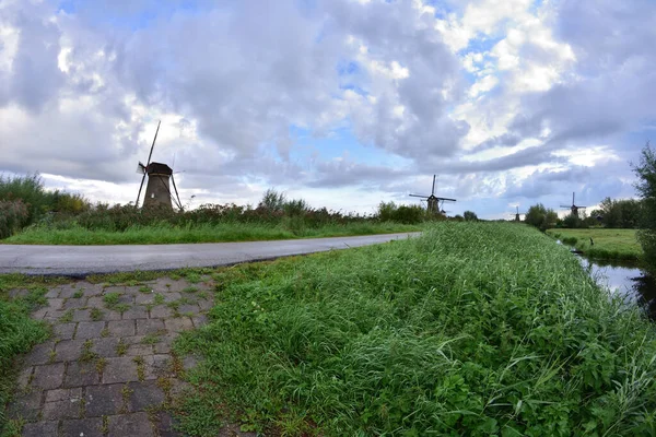 Mulini Vento Kinderdijk Una Nuvolosa Giornata Estiva Nei Paesi Bassi — Foto Stock