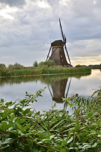 Wiatraki Kinderdijk Pochmurny Letni Dzień Holandii Lato — Zdjęcie stockowe