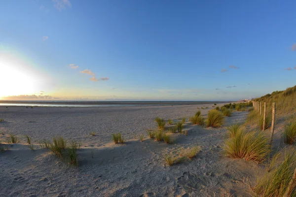 Vegetazione Costiera Nelle Dune Sotto Cielo Azzurro Nuvole Una Giornata — Foto Stock