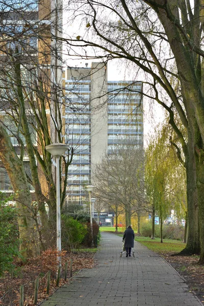 Maisons Résidentielles Multifamiliales Milieu Végétation Automne Par Une Matinée Fraîche — Photo