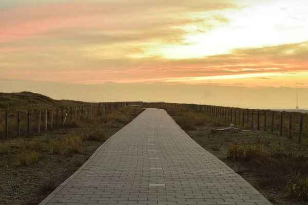 A two-way road among thickets on the seashore dunes during sunset. Summer.