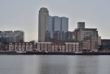 Rotterdam 'ın gökdelenleri Meuse' un diğer tarafından görülüyor. Yaz.