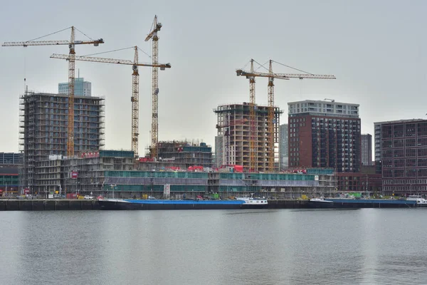 Grattacieli Rotterdam Visti Dall Altra Parte Della Mosa Estate — Foto Stock