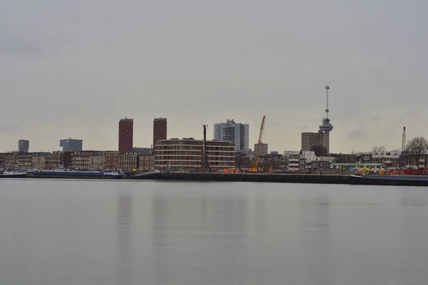 Rotterdam\'s skyscrapers seen from the other side of the Meuse. Summer.