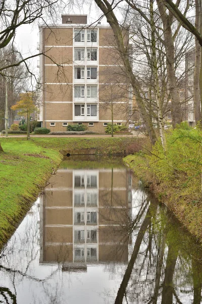 Woninghuizen Aan Het Water Tussen Groene Struiken Een Bewolkte Dag — Stockfoto