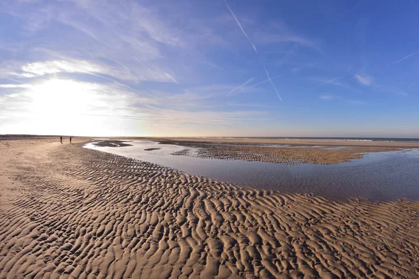 Sea shore at low tide on a sunny day. Summer.