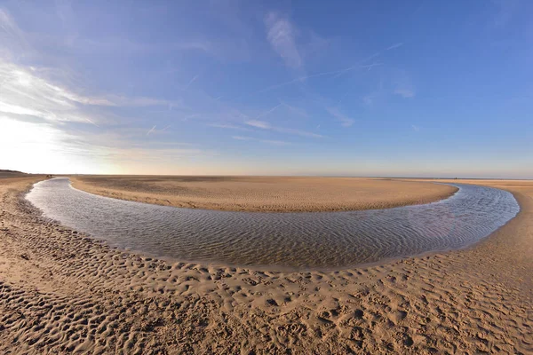 Praia Costa Mar Dia Ensolarado Lente Peixe Primavera — Fotografia de Stock