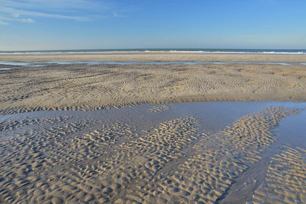 Riva Del Mare Con Bassa Marea Una Giornata Sole Estate — Foto Stock